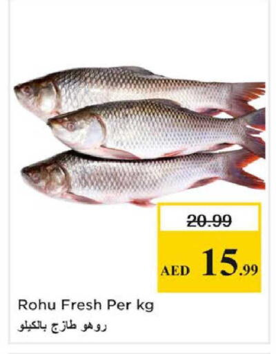 available at نستو هايبرماركت in الإمارات العربية المتحدة , الامارات - الشارقة / عجمان