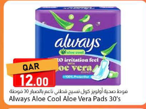 available at Dana Market in Qatar - Al Shamal