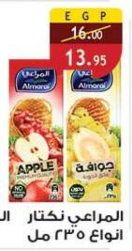 Apple available at Al Rayah Market   in Egypt - Cairo
