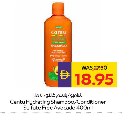 Avocado available at ADCOOP in UAE - Abu Dhabi