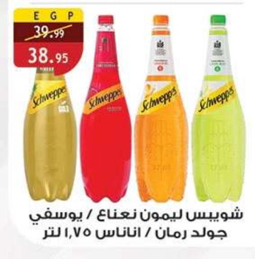 available at Al Rayah Market   in Egypt - Cairo