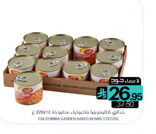 available at Muntazah Markets in KSA, Saudi Arabia, Saudi - Dammam