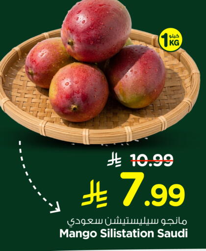 Mango from Saudi Arabia available at Nesto in KSA, Saudi Arabia, Saudi - Al Khobar