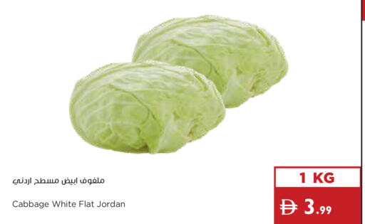 Cabbage from Jordan available at إسطنبول سوبرماركت in الإمارات العربية المتحدة , الامارات - الشارقة / عجمان