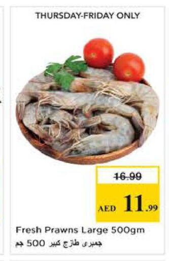 available at Nesto Hypermarket in UAE - Abu Dhabi
