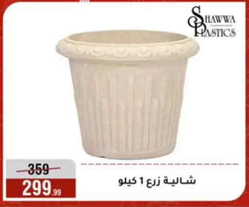 available at Al Morshedy  in Egypt - Cairo