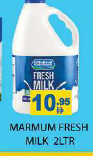 available at Zain Mart Supermarket in UAE - Ras al Khaimah