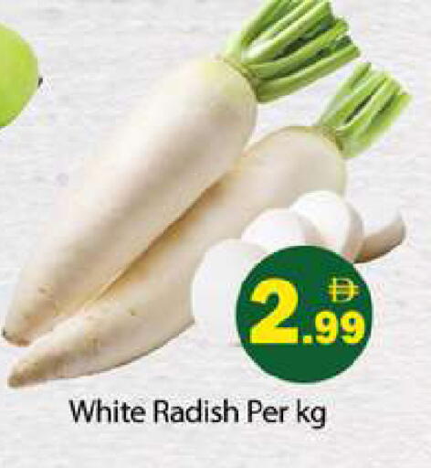 Radish available at Gulf Hypermarket LLC in UAE - Ras al Khaimah