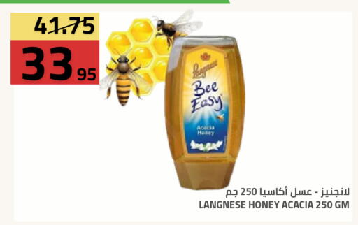 available at Astra Markets in KSA, Saudi Arabia, Saudi - Tabuk