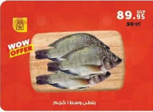 available at بنده in Egypt - القاهرة