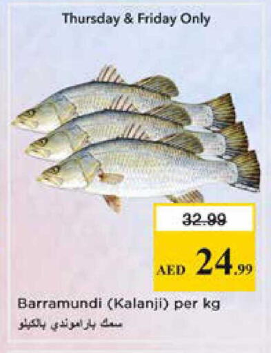 available at نستو هايبرماركت in الإمارات العربية المتحدة , الامارات - الشارقة / عجمان