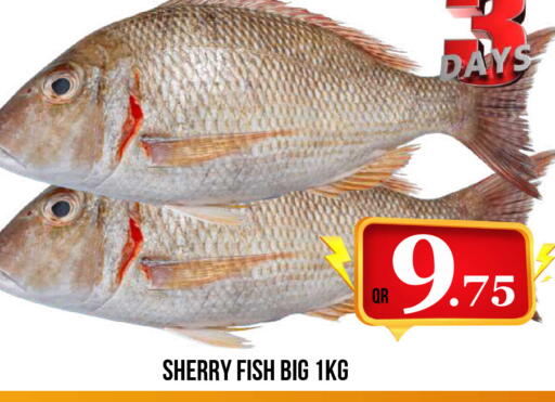 available at Dubai Shopping Center in Qatar - Al Wakra