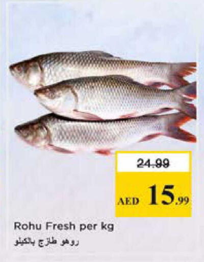 available at نستو هايبرماركت in الإمارات العربية المتحدة , الامارات - الشارقة / عجمان