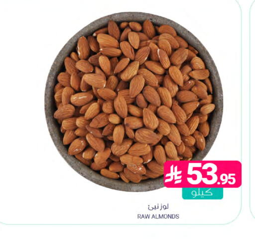 available at Muntazah Markets in KSA, Saudi Arabia, Saudi - Dammam