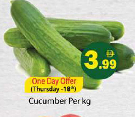 Cucumber available at Gulf Hypermarket LLC in UAE - Ras al Khaimah