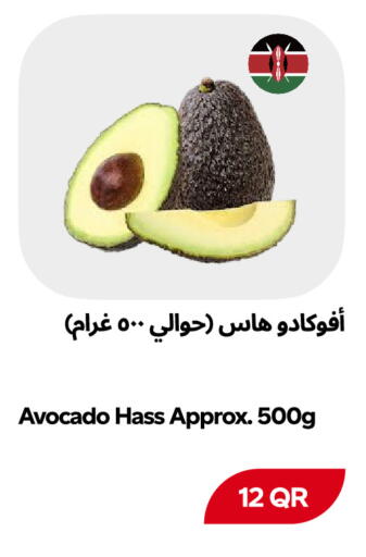 Avocado available at Snoomart in Qatar - Al Rayyan