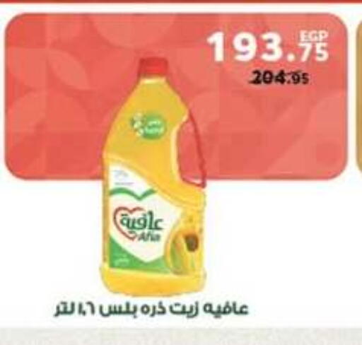 available at بنده in Egypt - القاهرة