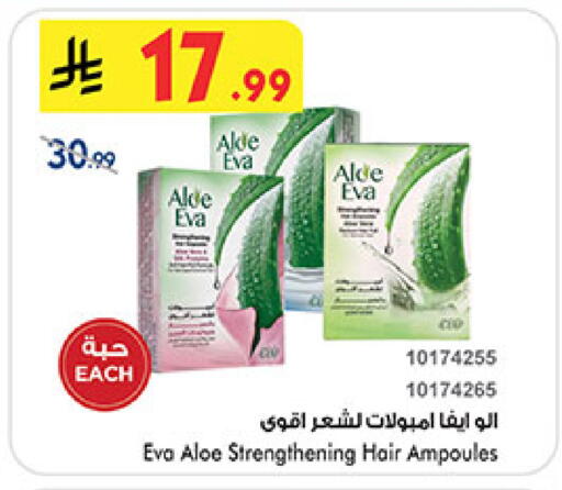 available at بن داود in مملكة العربية السعودية, السعودية, سعودية - المدينة المنورة