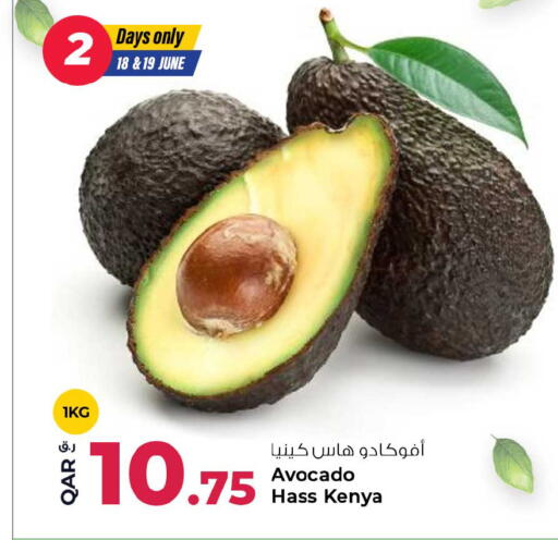 Avocado from Kenya available at Rawabi Hypermarket in Qatar - Al Shamal