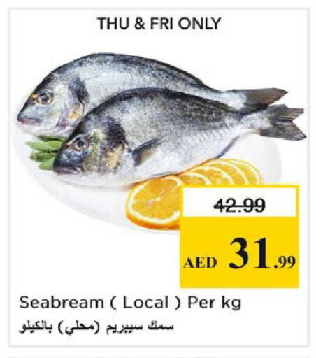 available at نستو هايبرماركت in الإمارات العربية المتحدة , الامارات - الشارقة / عجمان