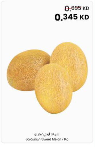 Melon from Jordan available at The Sultan Center in Kuwait - Kuwait City