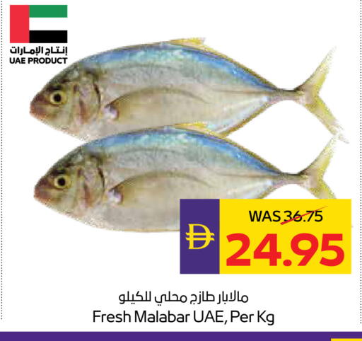 available at ADCOOP in UAE - Abu Dhabi