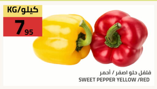 Pepper available at Astra Markets in KSA, Saudi Arabia, Saudi - Tabuk