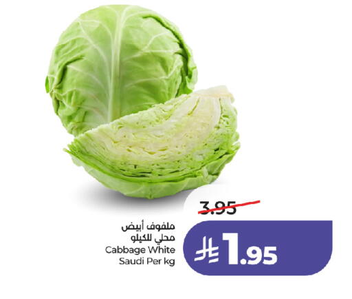 Cabbage from Saudi Arabia available at لولو هايبرماركت in مملكة العربية السعودية, السعودية, سعودية - جدة
