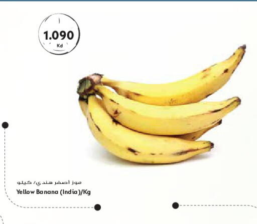 Banana from India available at جراند هايبر in الكويت - مدينة الكويت