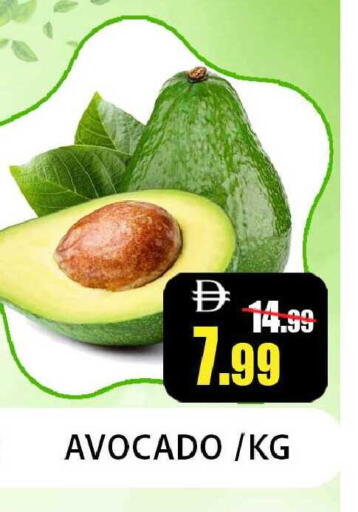 Avocado available at Leptis Hypermarket  in UAE - Ras al Khaimah