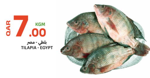 available at Al Baladi Al Yawm in Qatar - Al Rayyan