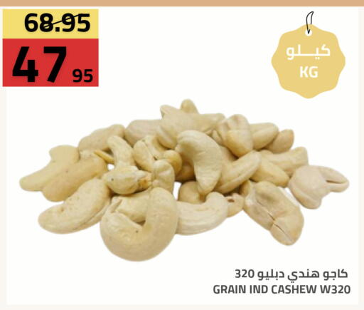 available at Astra Markets in KSA, Saudi Arabia, Saudi - Tabuk