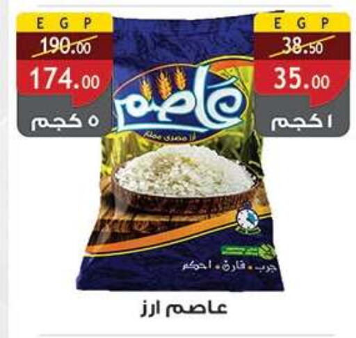 available at Al Rayah Market   in Egypt - Cairo