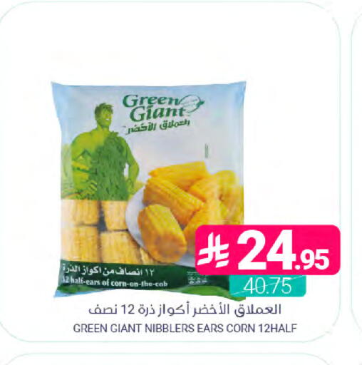 available at Muntazah Markets in KSA, Saudi Arabia, Saudi - Dammam