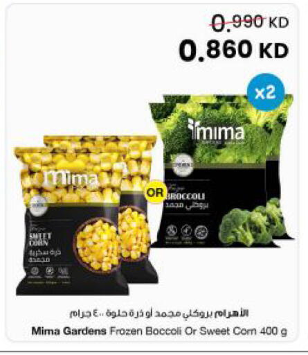 Broccoli available at The Sultan Center in Kuwait - Kuwait City