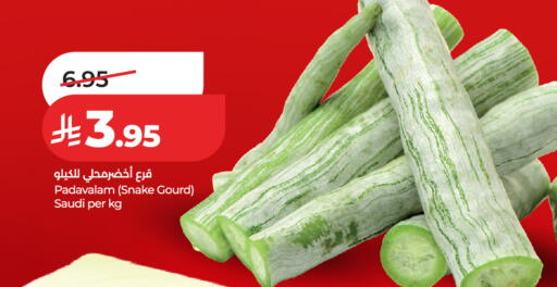 from Saudi Arabia available at LULU Hypermarket in KSA, Saudi Arabia, Saudi - Riyadh