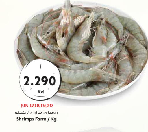 available at Grand Hyper in Kuwait - Kuwait City