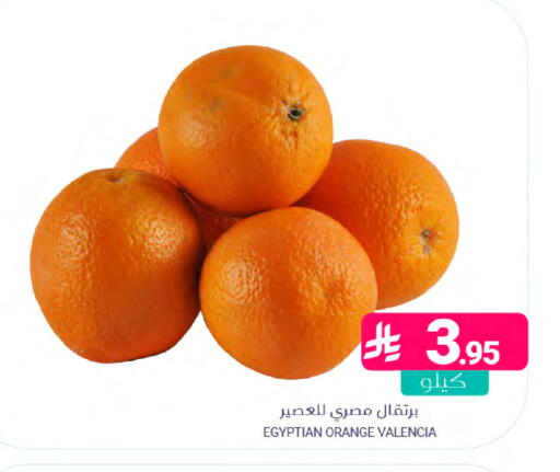 Orange from Egypt available at Muntazah Markets in KSA, Saudi Arabia, Saudi - Dammam