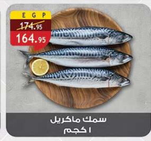 available at Al Rayah Market   in Egypt - Cairo