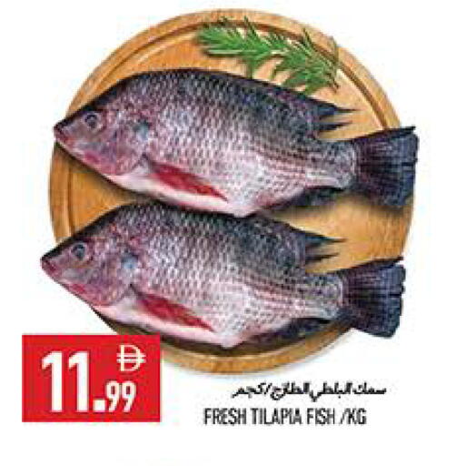 available at  روابي ماركت عجمان in الإمارات العربية المتحدة , الامارات - الشارقة / عجمان