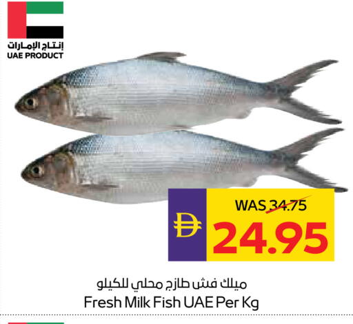 available at ADCOOP in UAE - Abu Dhabi