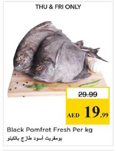 available at نستو هايبرماركت in الإمارات العربية المتحدة , الامارات - الشارقة / عجمان