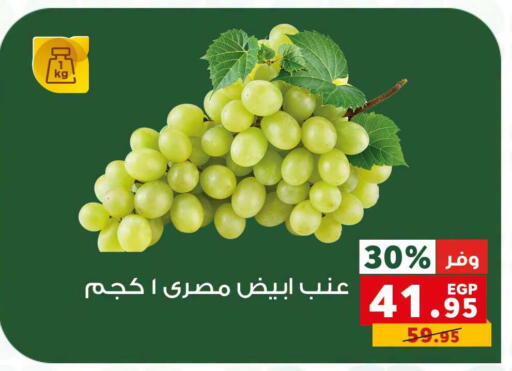 available at Panda  in Egypt - Cairo