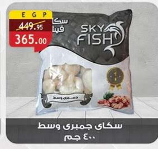 available at Al Rayah Market   in Egypt - Cairo