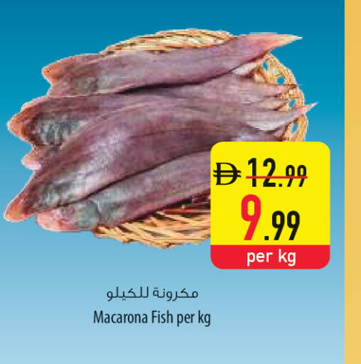 available at السفير ماركت in الإمارات العربية المتحدة , الامارات - أم القيوين‎