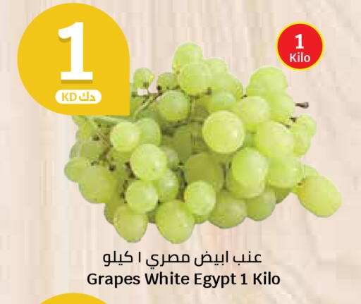Grapes from Egypt available at City Hypermarket in Kuwait - Kuwait City