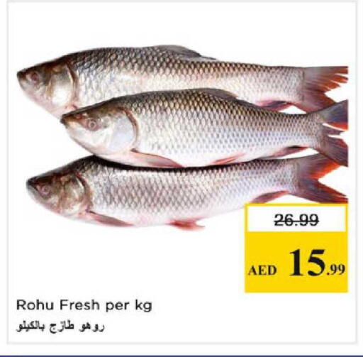 available at Nesto Hypermarket in UAE - Ras al Khaimah