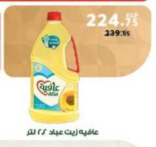available at بنده in Egypt - القاهرة