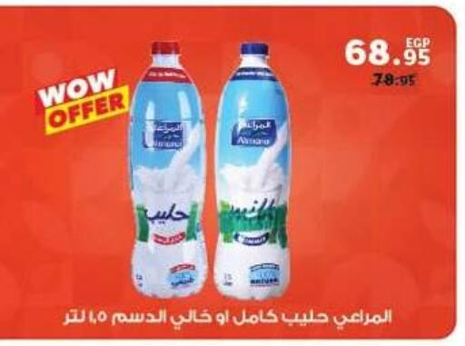 available at Panda  in Egypt - Cairo