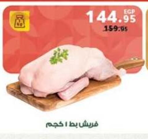available at بنده in Egypt - القاهرة